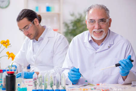 Two chemists working in the labの写真素材