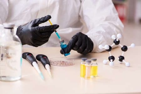 Doctor working in lab in coronavirus COVID-19 conceptの写真素材