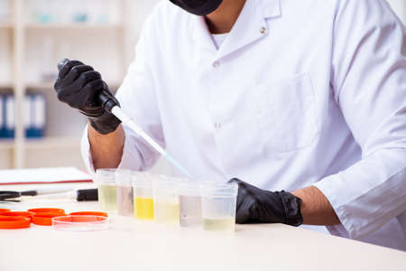 Young male chemist working in the lab