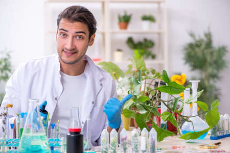 Young male chemist working in the labの写真素材