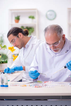 Two chemists working in the labの写真素材