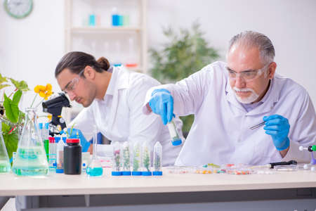 Two chemists working in the labの写真素材