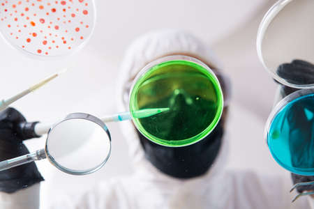 Young chemist working in the labの写真素材