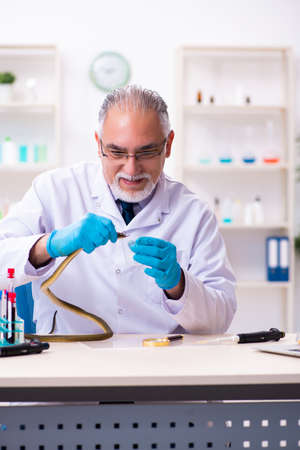 Old chemist holding snake at the science laboratoryの写真素材