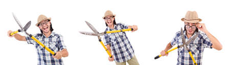 The funny guy with garden shears on whiteの写真素材