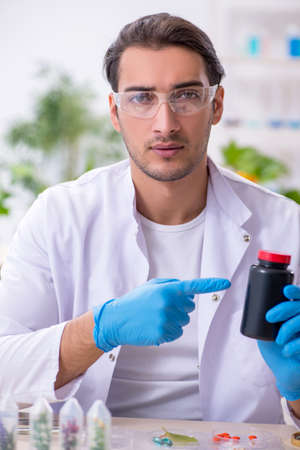 Young male chemist working in the labの写真素材