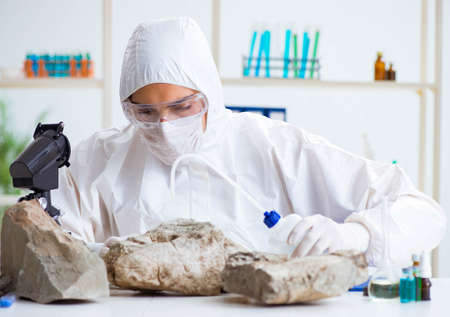 The scientist looking and stone samples in labの写真素材