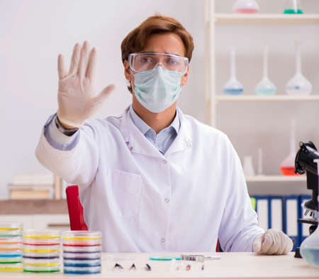 Young chemist working in the labの写真素材