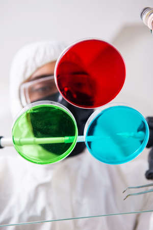 Young male chemist working in the labの写真素材