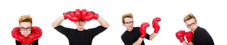 Funny boxer isolated on the white background