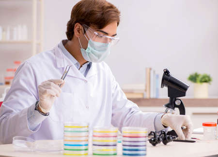 The young chemist working in the lab