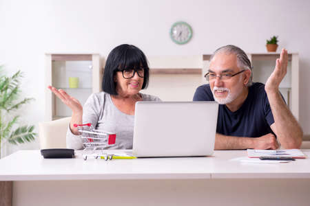 Old couple doing the online shopping