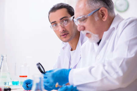 Two chemists working in the labの写真素材