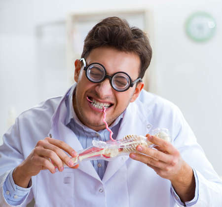 Crazy doctor studying human skeletonの写真素材