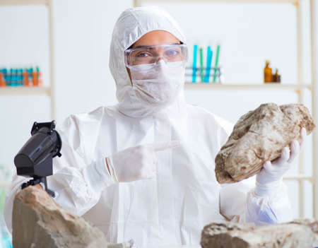 Scientist looking and stone samples in labの写真素材