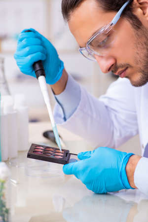 Young male chemist working in the labの写真素材