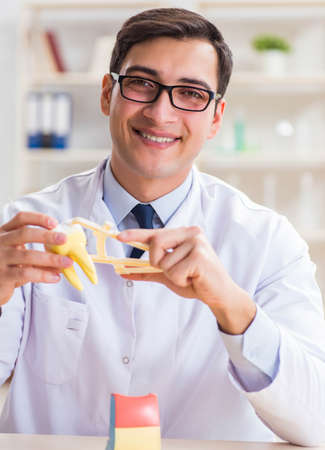 Young dentist working in the dentistry hospitalの写真素材