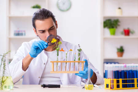 Young male chemist working in the labの写真素材