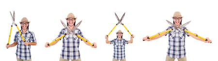 Funny guy with garden shears on whiteの写真素材