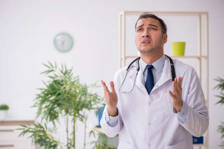 Young male doctor working in the clinicの写真素材