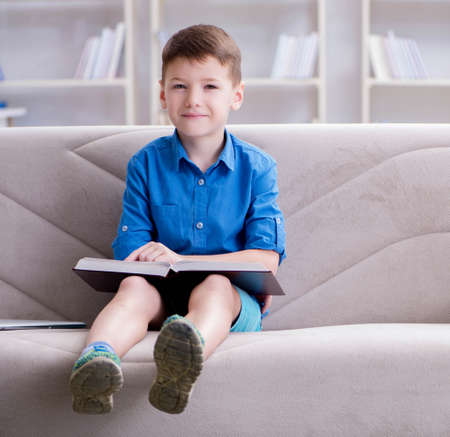 Small boy reading books at home