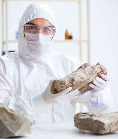 Scientist looking and stone samples in labの写真素材