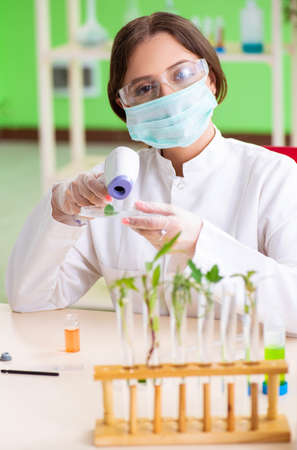 Beautiful female biotechnology scientist chemist working in labの写真素材