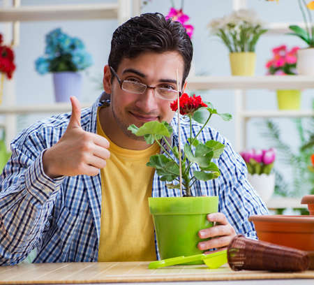 The young man florist working in a flower shopの写真素材