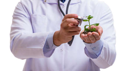 Scientist with green seedling in glass isolated on whiteの写真素材
