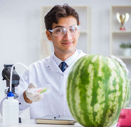 Scientist testing watermelon in labの写真素材