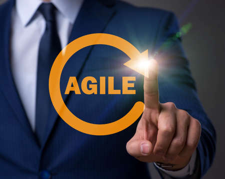 Concept of agile software development