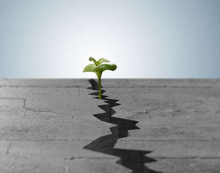 New life concept with sprout growing through crackの写真素材