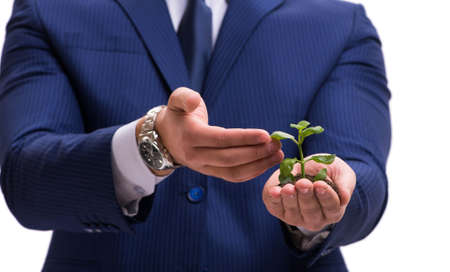The businessman holding green sprouts isolated on whiteの写真素材