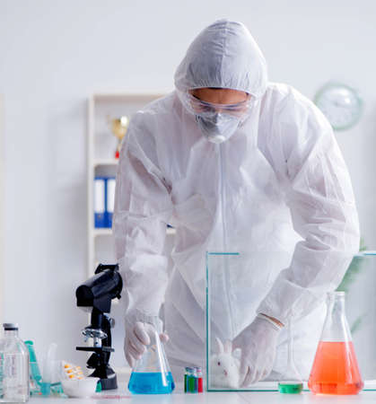 Scientist doing animal experiment in lab with rabbit