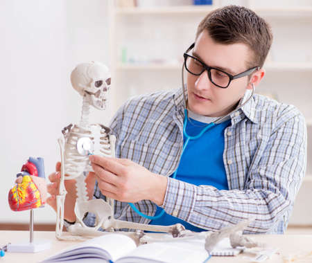 Medical student studying skeleton in classroom during lecture