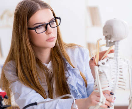 Student sitting in classroom and studying skeletonの写真素材