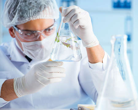 Biotechnology concept with scientist in labの写真素材