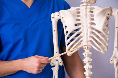 Young male lecturer with skeleton in front of whiteboard