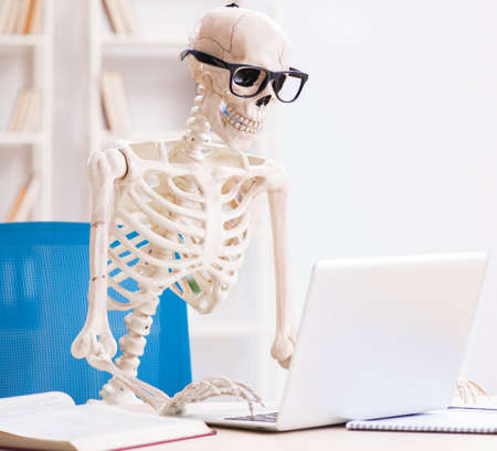 Skeleton businessman working in the officeの写真素材