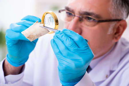 Old senior paleontologist working in the lab