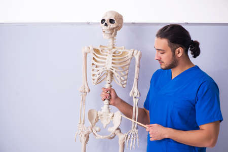 Young male lecturer with skeleton in front of whiteboardの写真素材