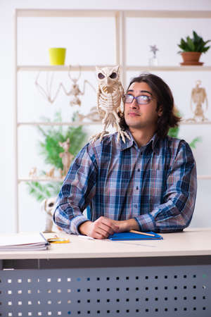 Young male teacher paleontologist in the classroomの写真素材