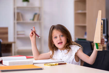 Small girl preparing for exams at homeの写真素材