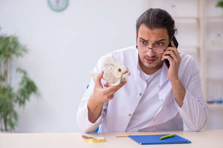 Young male zoologist student studying fish skeletonの写真素材