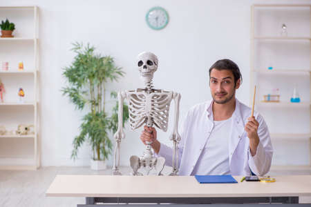 Young male doctor demonstrating human skeleton