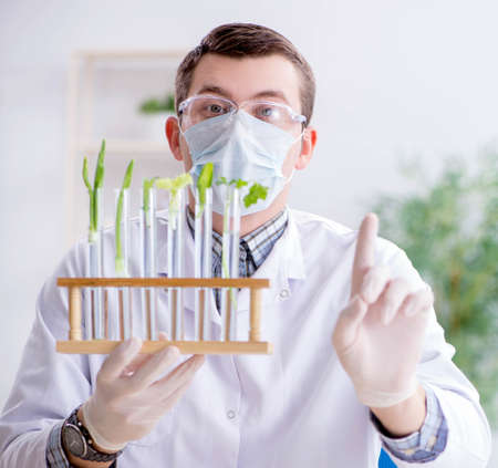 Male biochemist working in the lab on plantsの写真素材