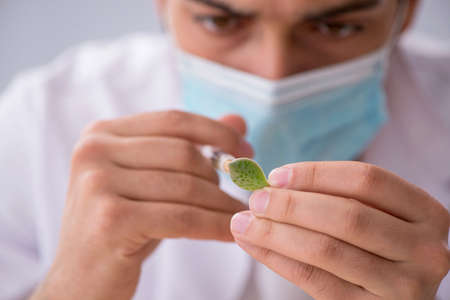 Young male chemist working in the lab