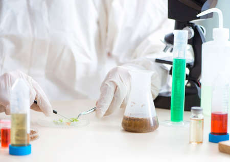 Male biochemist working in the lab on plants