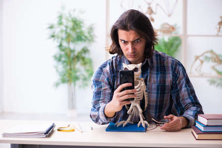 Young male teacher paleontologist in the classroomの写真素材