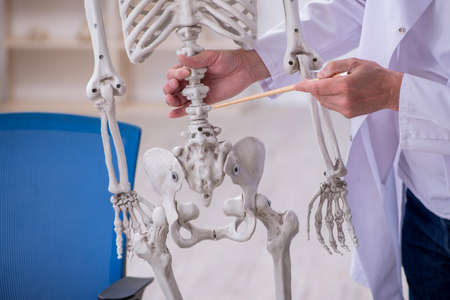 Old male anatomy teacher demonstrating human skeleton